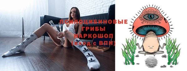 МДПВ Армянск