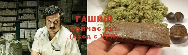 PSILOCYBIN Горно-Алтайск
