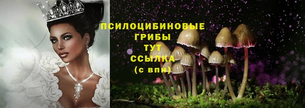 МДПВ Армянск